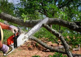 Why Choose Our Tree Removal Services in Russells Point, OH?